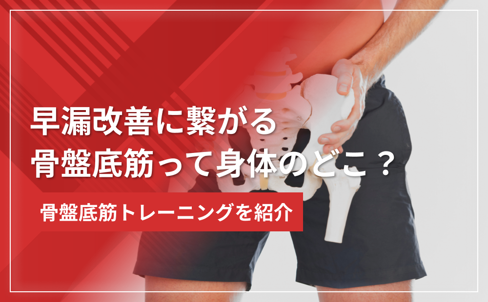 骨盤底筋って身体のどこ?早漏改善に繋がる骨盤底筋トレーニングを紹介